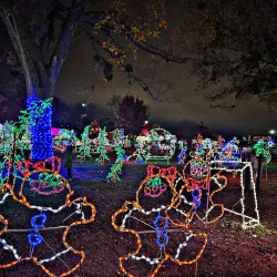 Elmer Thomas Park - Lawton