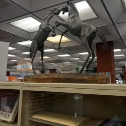 Lawton Public Library - Lawton