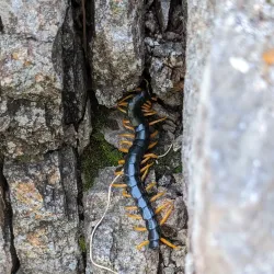 Wichita Mountains Wildlife Refuge - Lawton
