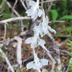 Wichita Mountains Wildlife Refuge - Lawton