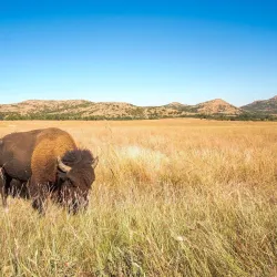 Wichita Mountains Wildlife Refuge - Lawton
