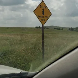 Wichita Mountains Wildlife Refuge - Lawton
