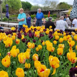 Honor Heights Park - Muskogee