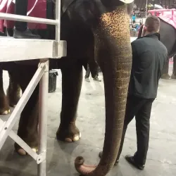 Muskogee Civic Center - Muskogee