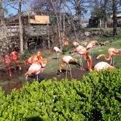 Oklahoma City Zoo - Oklahoma City