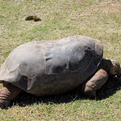 Oklahoma City Zoo - Oklahoma City