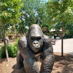 Oklahoma City Zoo - Oklahoma City