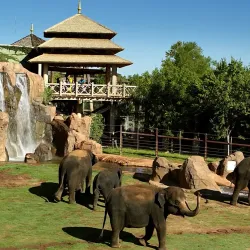 Oklahoma City Zoo - Oklahoma City