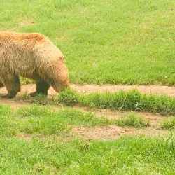 Oklahoma City Zoo - Oklahoma City