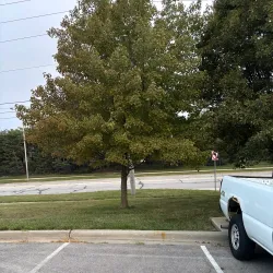 Sacred Heart Catholic Church - Shawnee