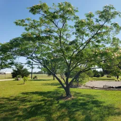 Shawnee City Park - Shawnee