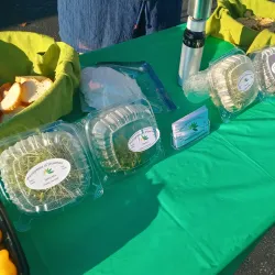 Shawnee Farmers Market - Shawnee