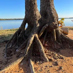 Shawnee Twin Lakes Park - Shawnee