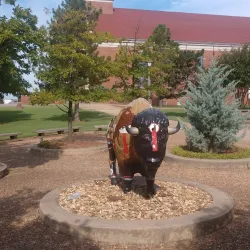 University of Oklahoma - Shawnee Campus - Shawnee