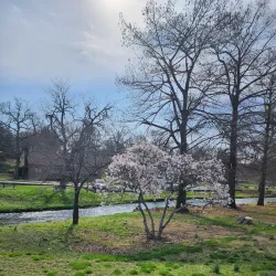 Tahlequah City Lake Park - Tahlequah