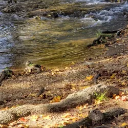 Tahlequah City Lake Park - Tahlequah