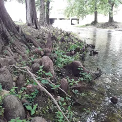 Tahlequah City Lake Park - Tahlequah