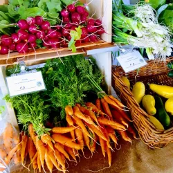 Tahlequah Farmers Market - Tahlequah