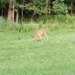 Lake Thunderbird State Park - Tecumseh