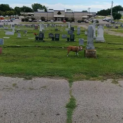 Tecumseh Cemetery - Tecumseh