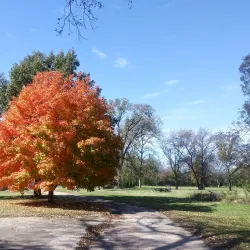 Tecumseh Main Street - Tecumseh