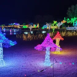 Tulsa Botanic Garden - Tulsa