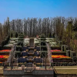 Tulsa Botanic Garden - Tulsa