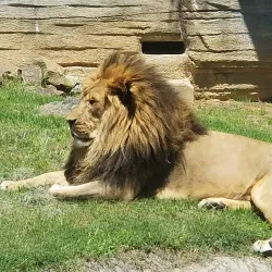 Tulsa Zoo - Tulsa