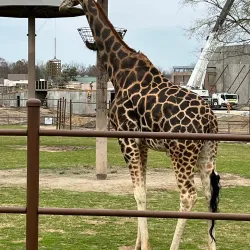 Tulsa Zoo - Tulsa