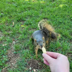 Woodward Park and Gardens - Tulsa