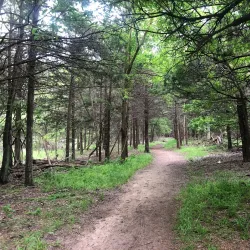 Boiling Springs State Park - Woodward