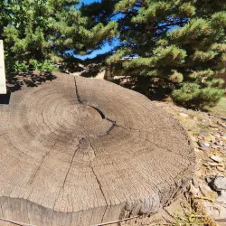 Cimarron Heritage Center - Woodward