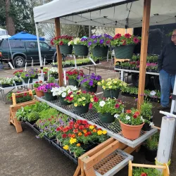 Albany Farmers' Market - Albany