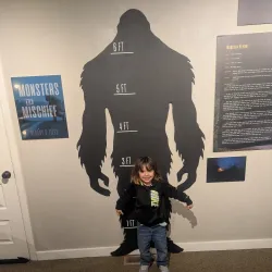 Albany Regional Museum - Albany