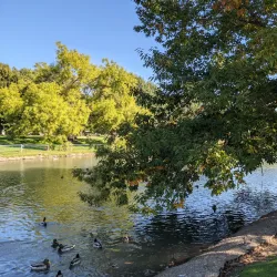 Grand Prairie Park - Albany