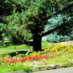 Grand Prairie Park - Albany