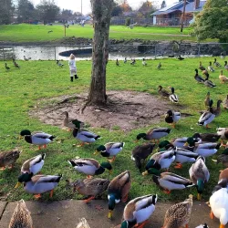 Grand Prairie Park - Albany