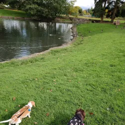 Grand Prairie Park - Albany