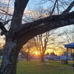 Grand Prairie Park - Albany