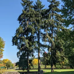 Grand Prairie Park - Albany