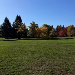 North Albany Park - Albany