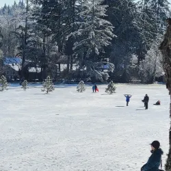 North Albany Park - Albany