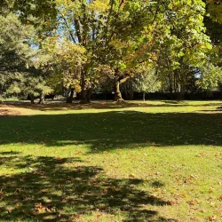 North Albany Park - Albany