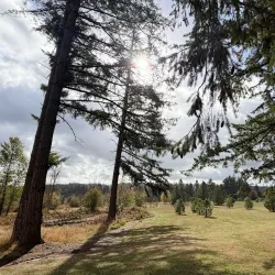 North Albany Park - Albany