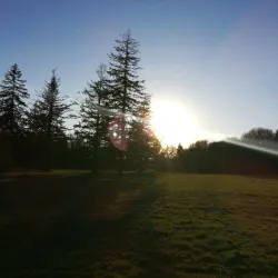 North Albany Park - Albany