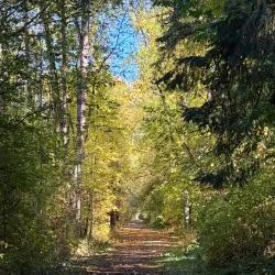 North Albany Park - Albany