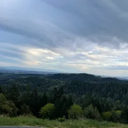 North Albany Park - Albany