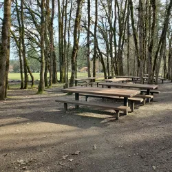 North Albany Park - Albany