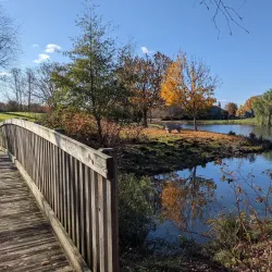 Periwinkle Creek Trail - Albany