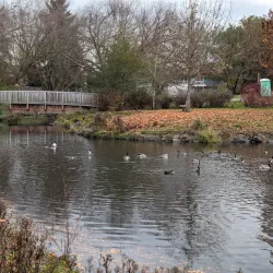 Periwinkle Creek Trail - Albany